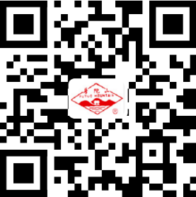 开云体育官方网址